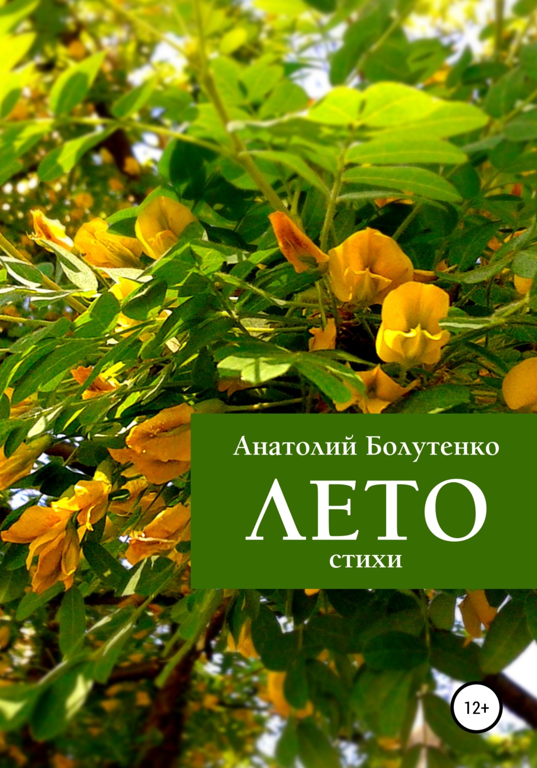 Обложка книги «Лето»