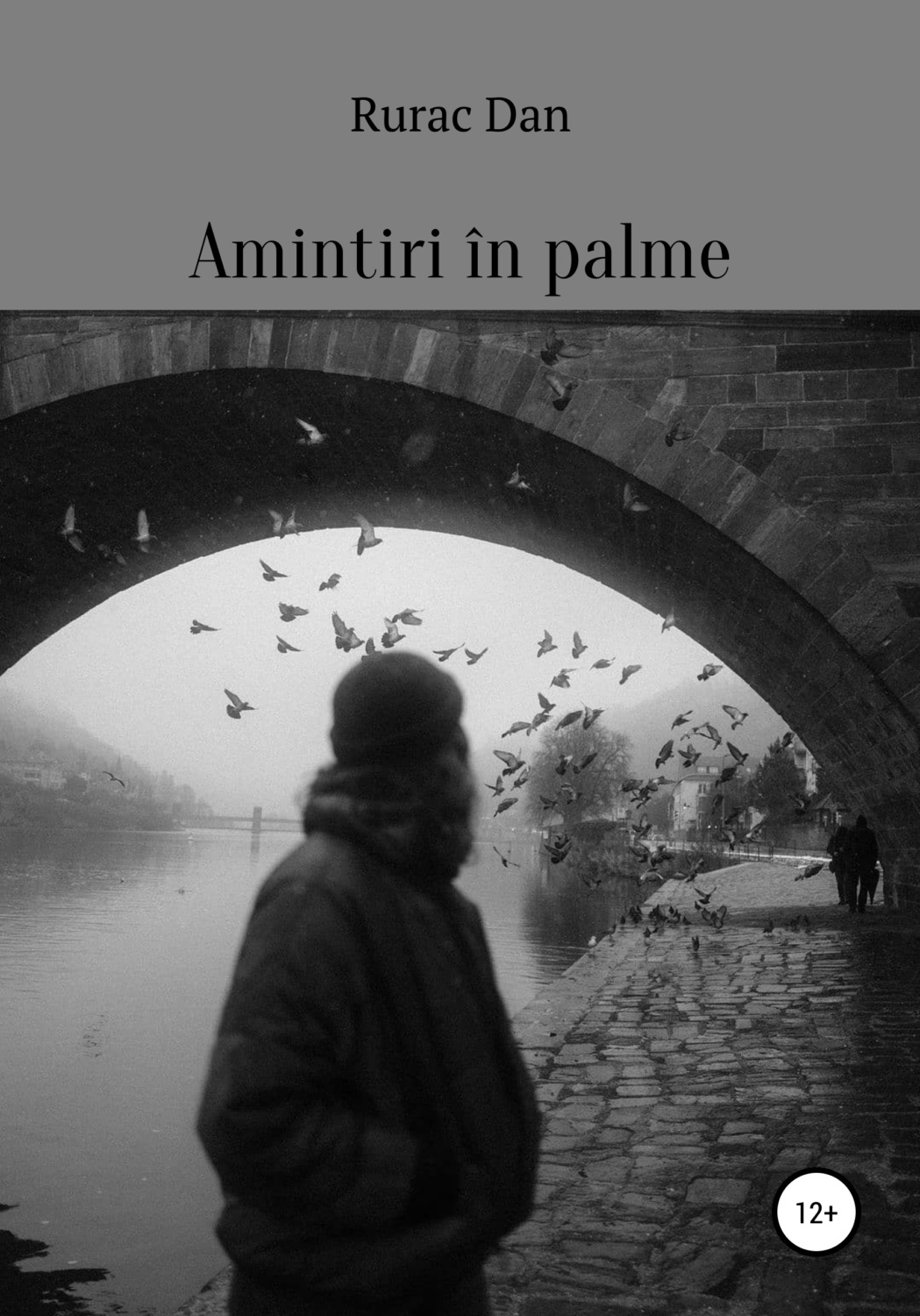 Обложка книги «Amintiri în palme»