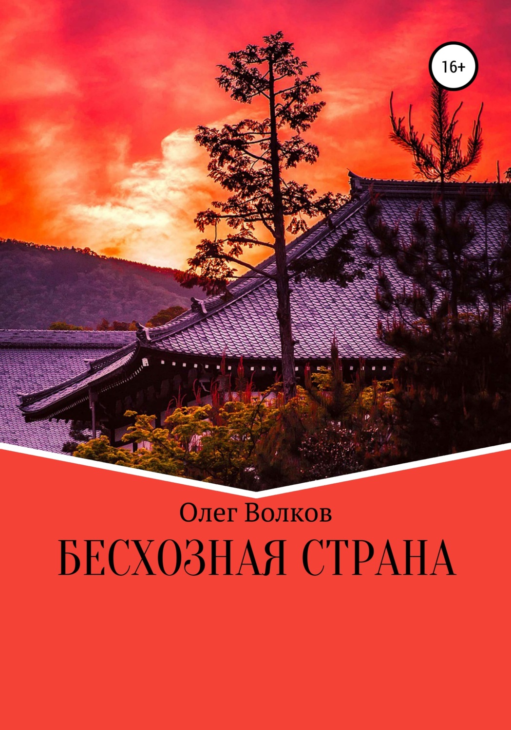 Обложка книги «Бесхозная страна»