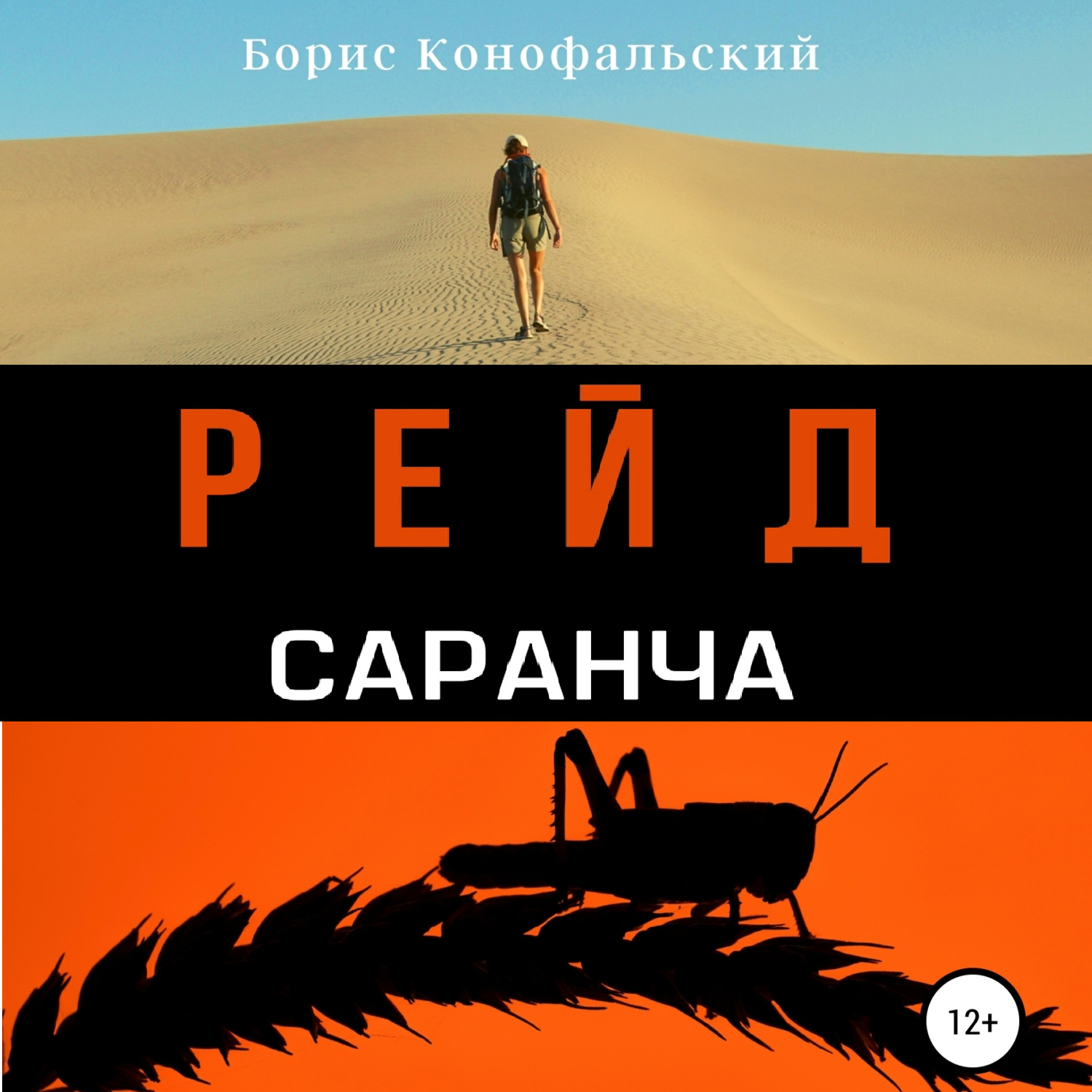 Обложка книги «Рейд. Саранча»