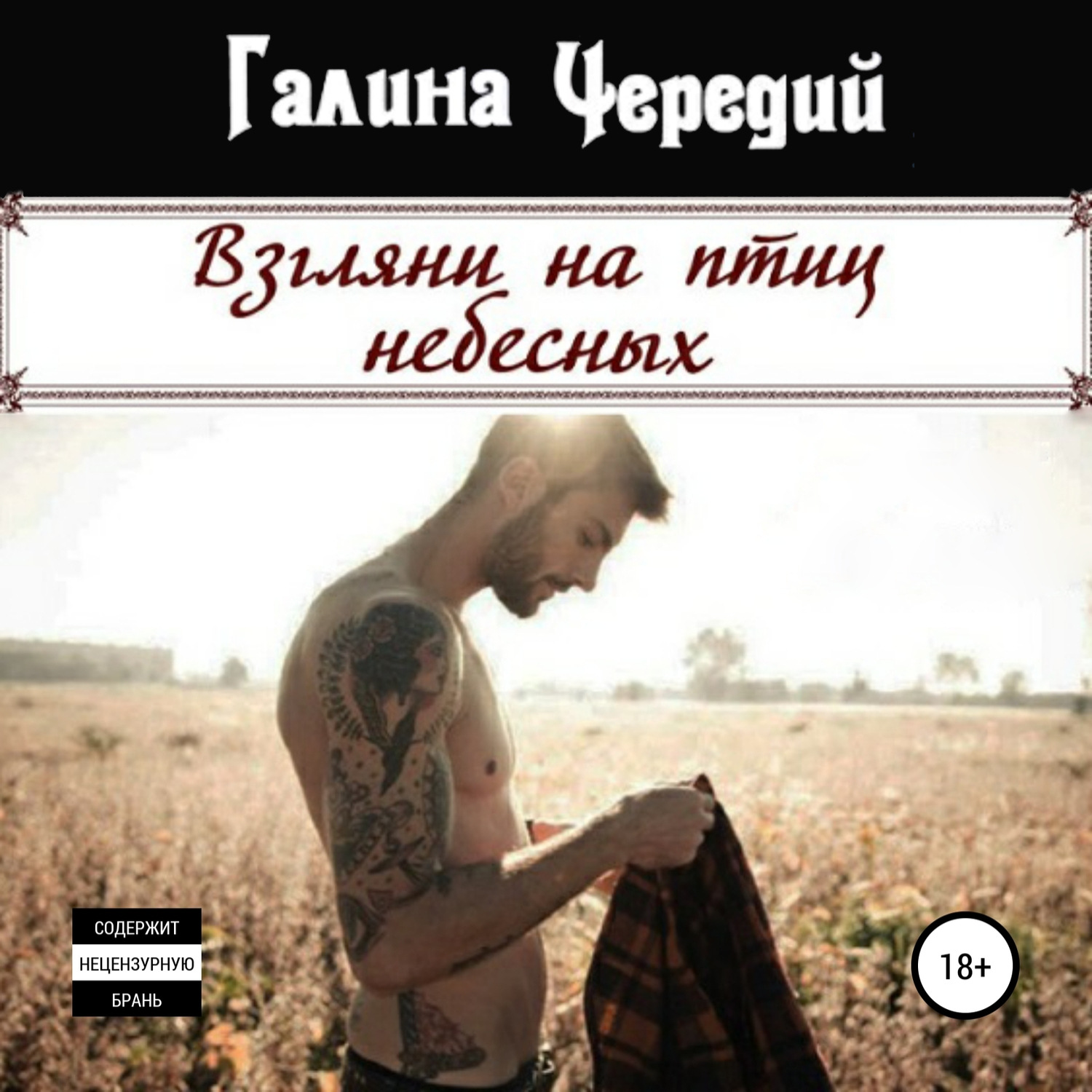 Обложка книги «Взгляни на птиц небесных»