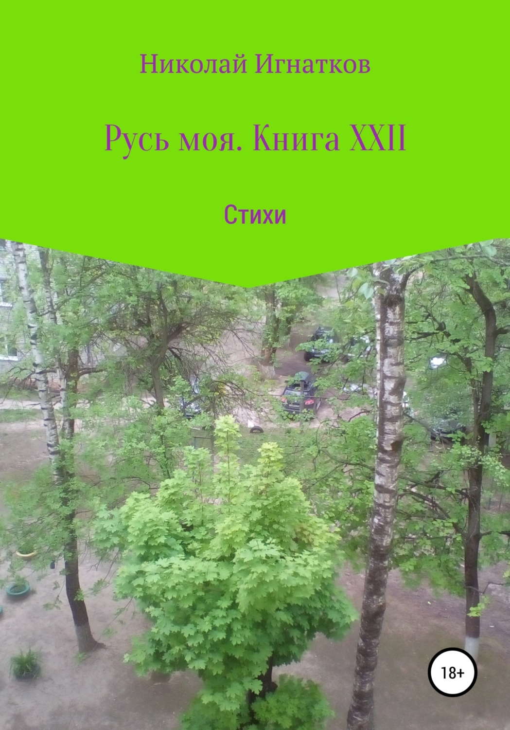 Обложка книги «Русь моя. Книга XXII»
