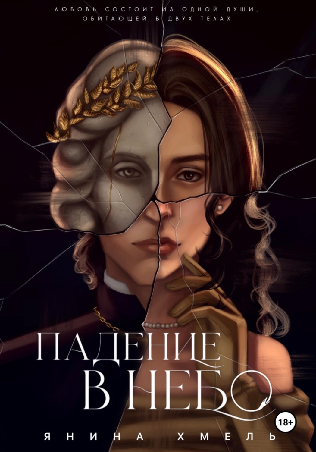Обложка книги «Падение в небо»