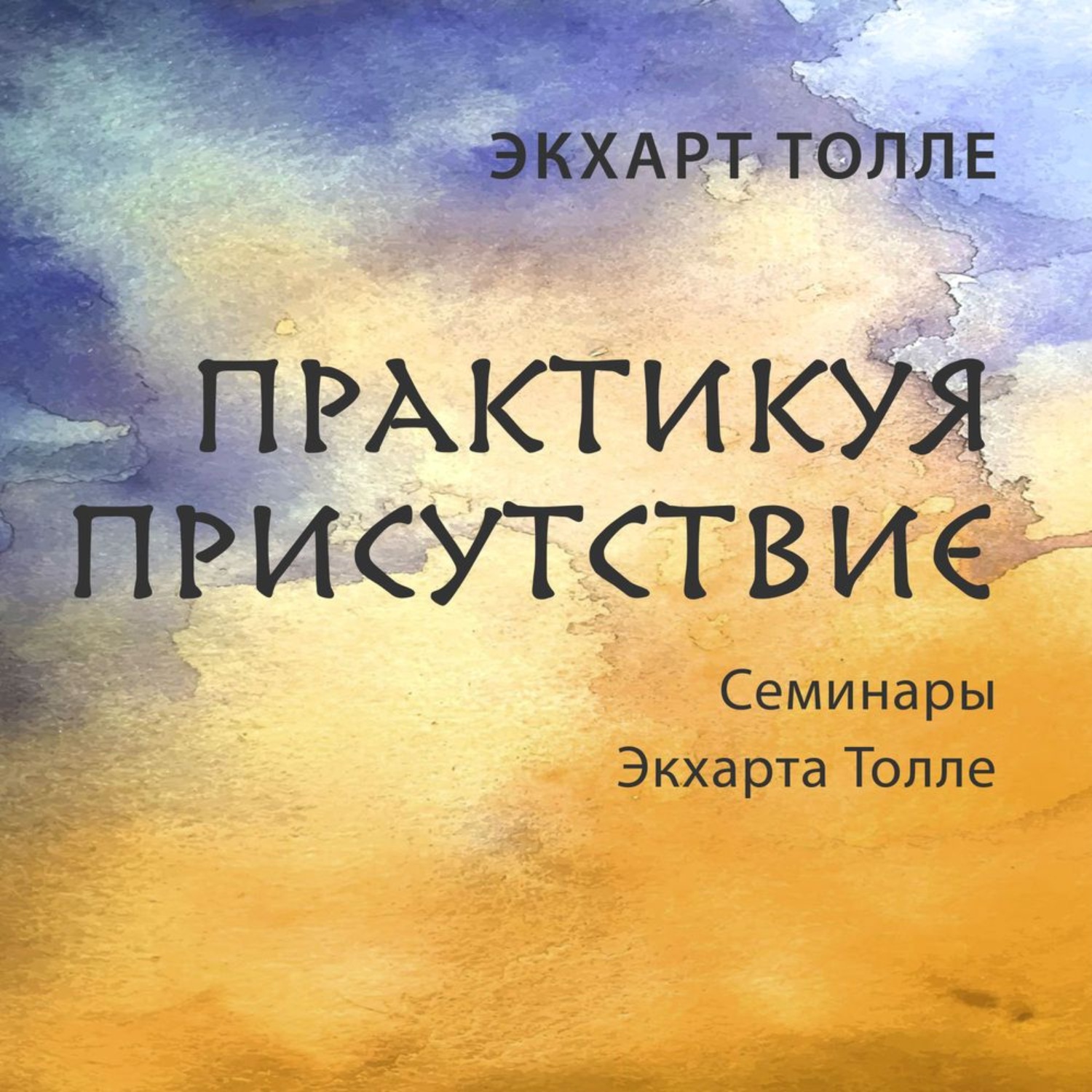 Обложка книги «Практикуя присутствие»