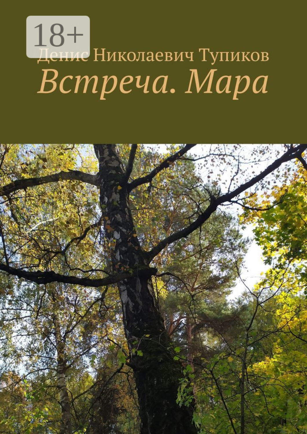 Обложка книги «Встреча. Мара»