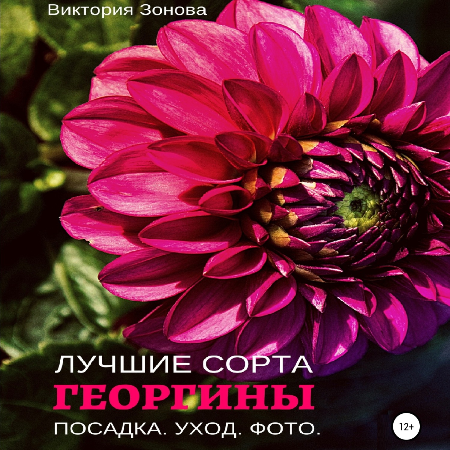 Обложка книги «Георгины. Лучшие сорта»
