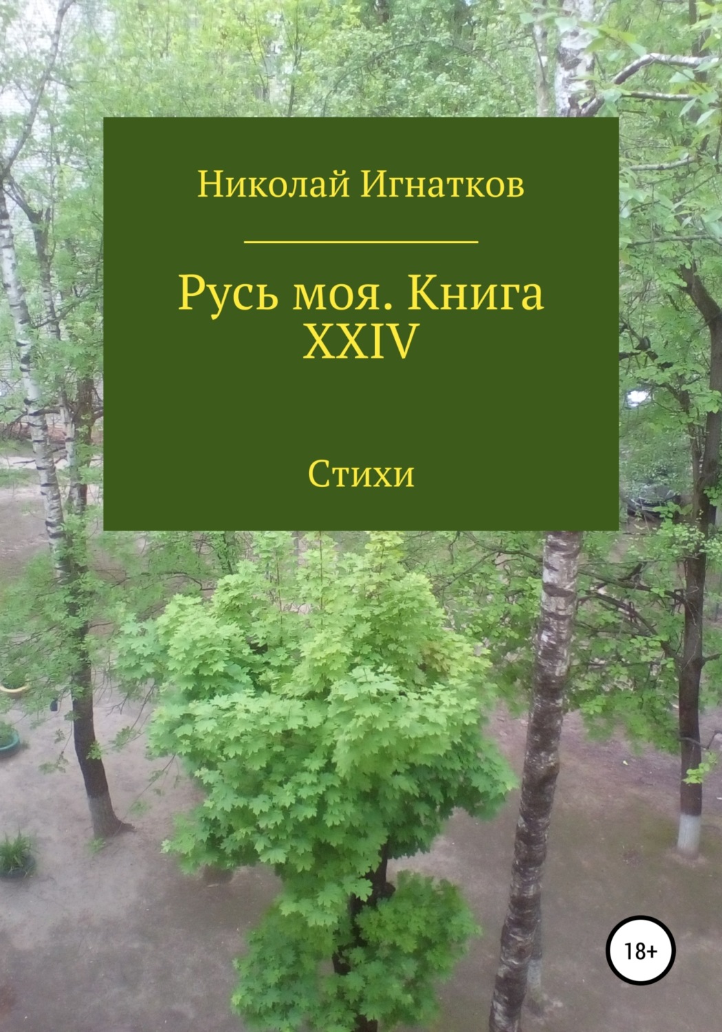 Обложка книги «Русь моя. Книга XXIV»