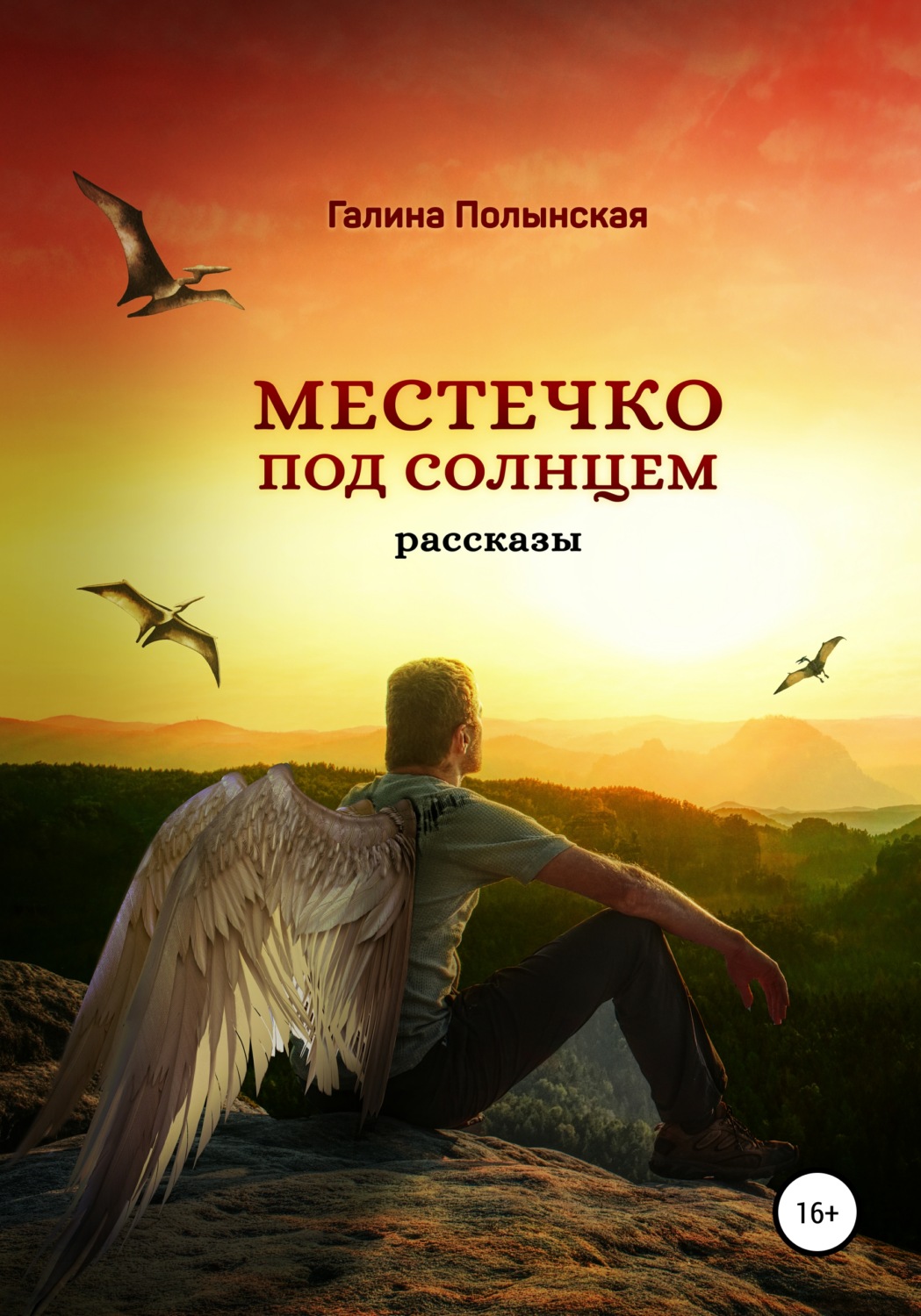 Обложка книги «Местечко под солнцем»