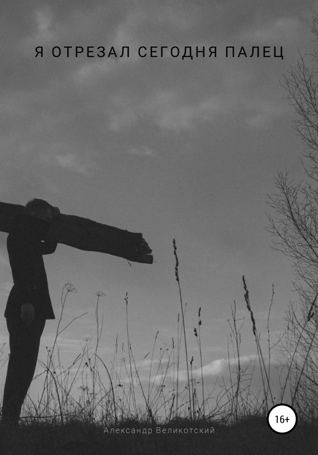 Обложка книги «Я отрезал сегодня палец»
