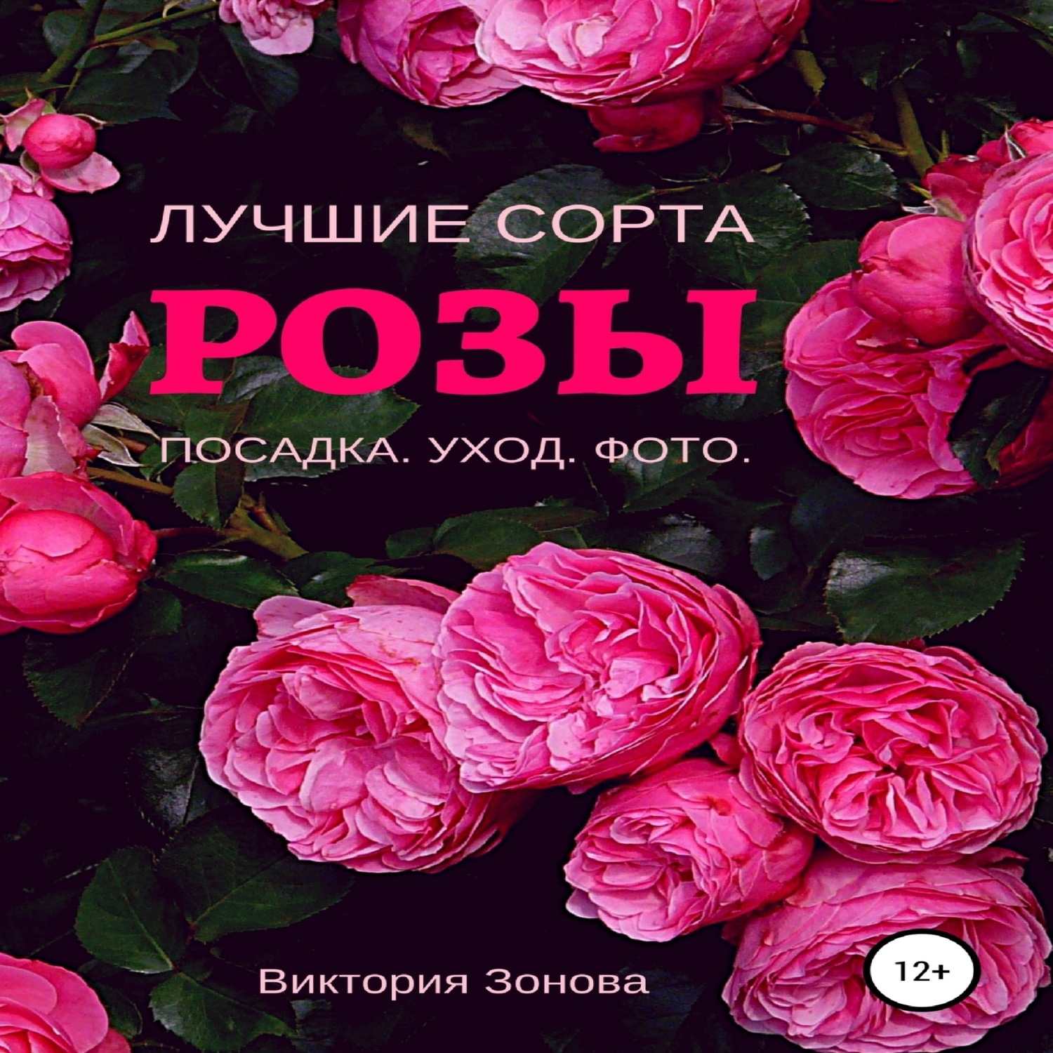 Обложка книги «Розы. Лучшие сорта»