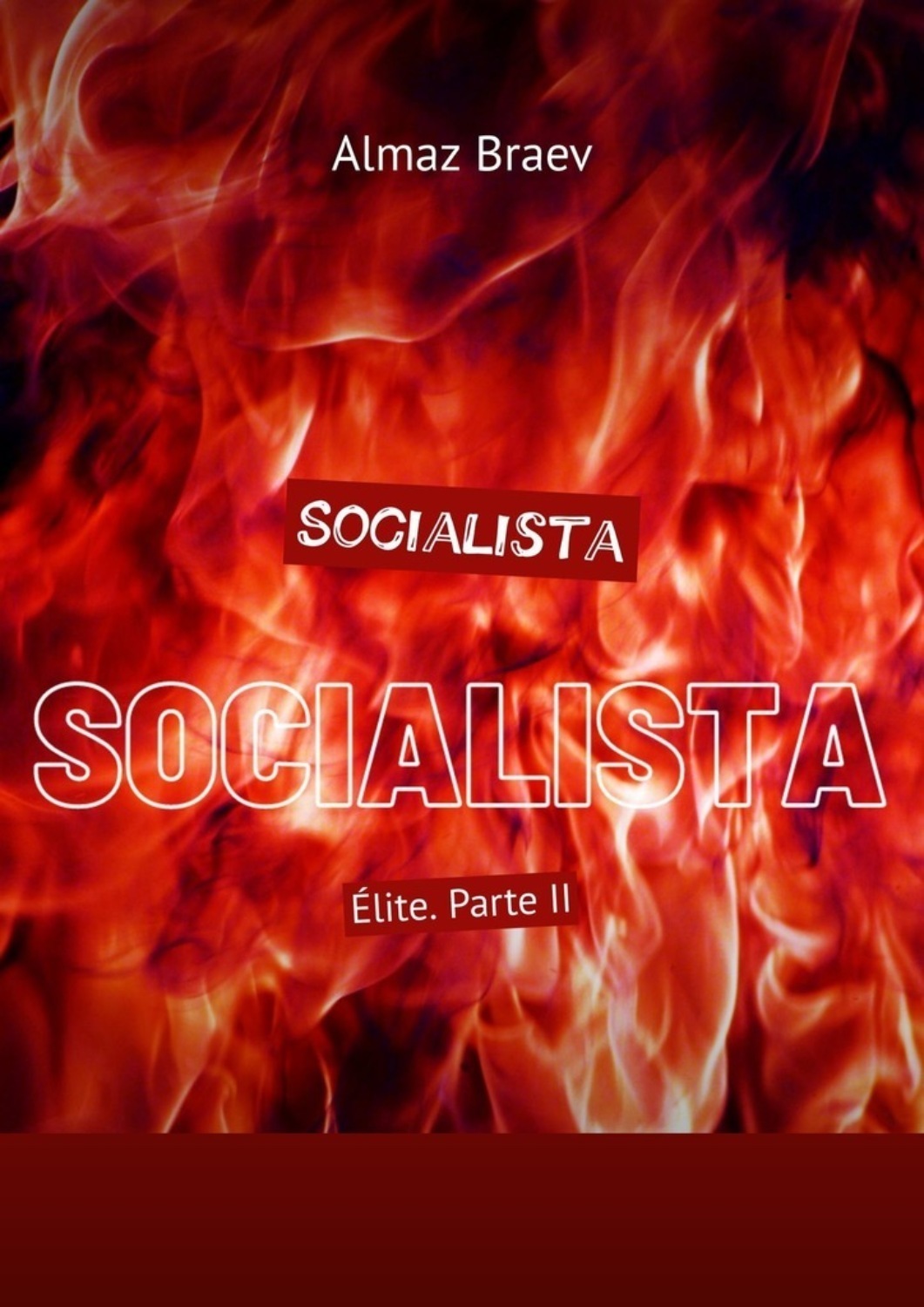 Обложка книги «Socialista. Élite. Parte II»