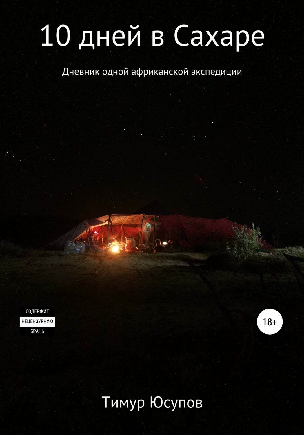 Обложка книги «10 дней в Сахаре: дневник одной африканской экспедиции»