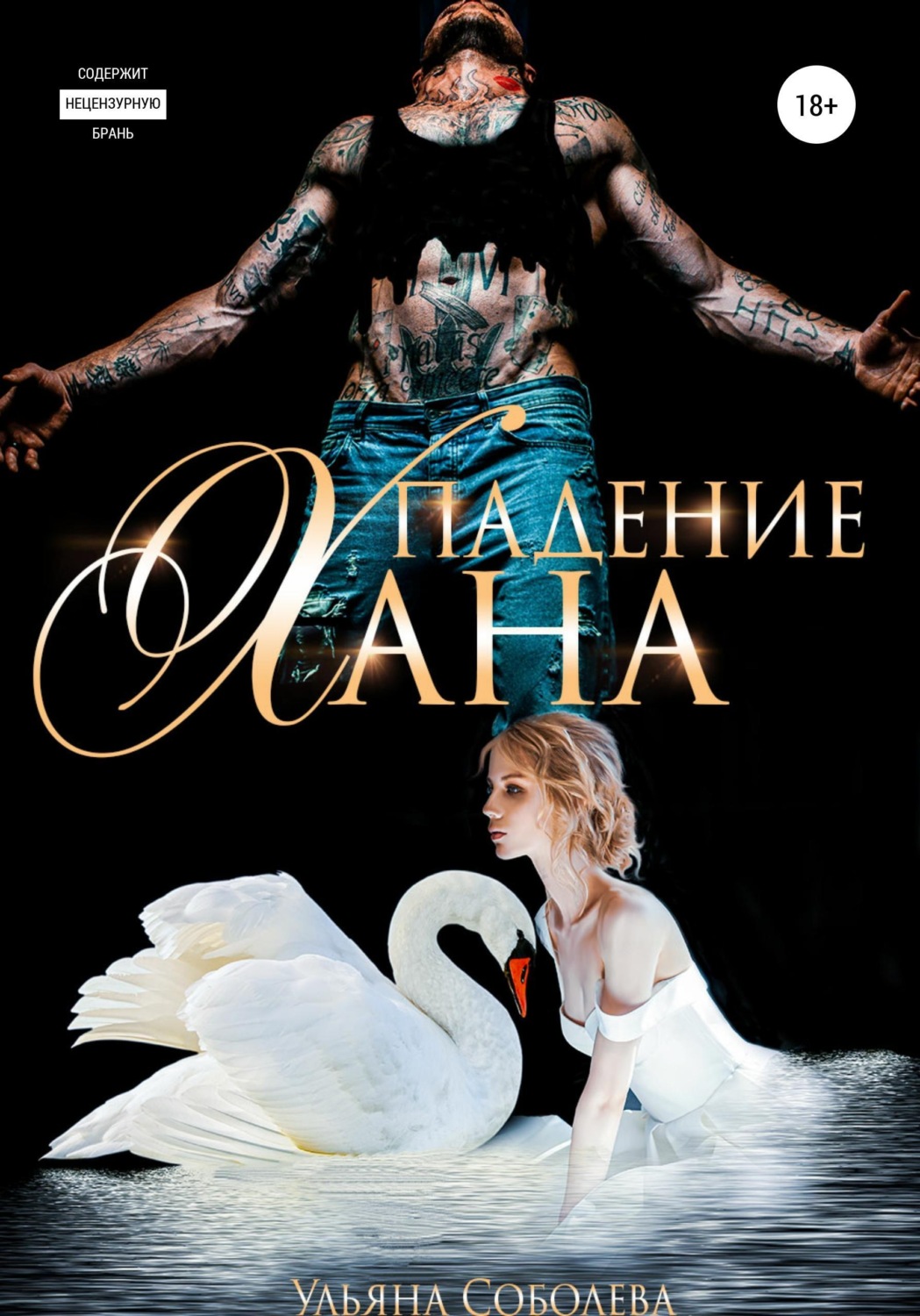 Обложка книги «Падение Хана»