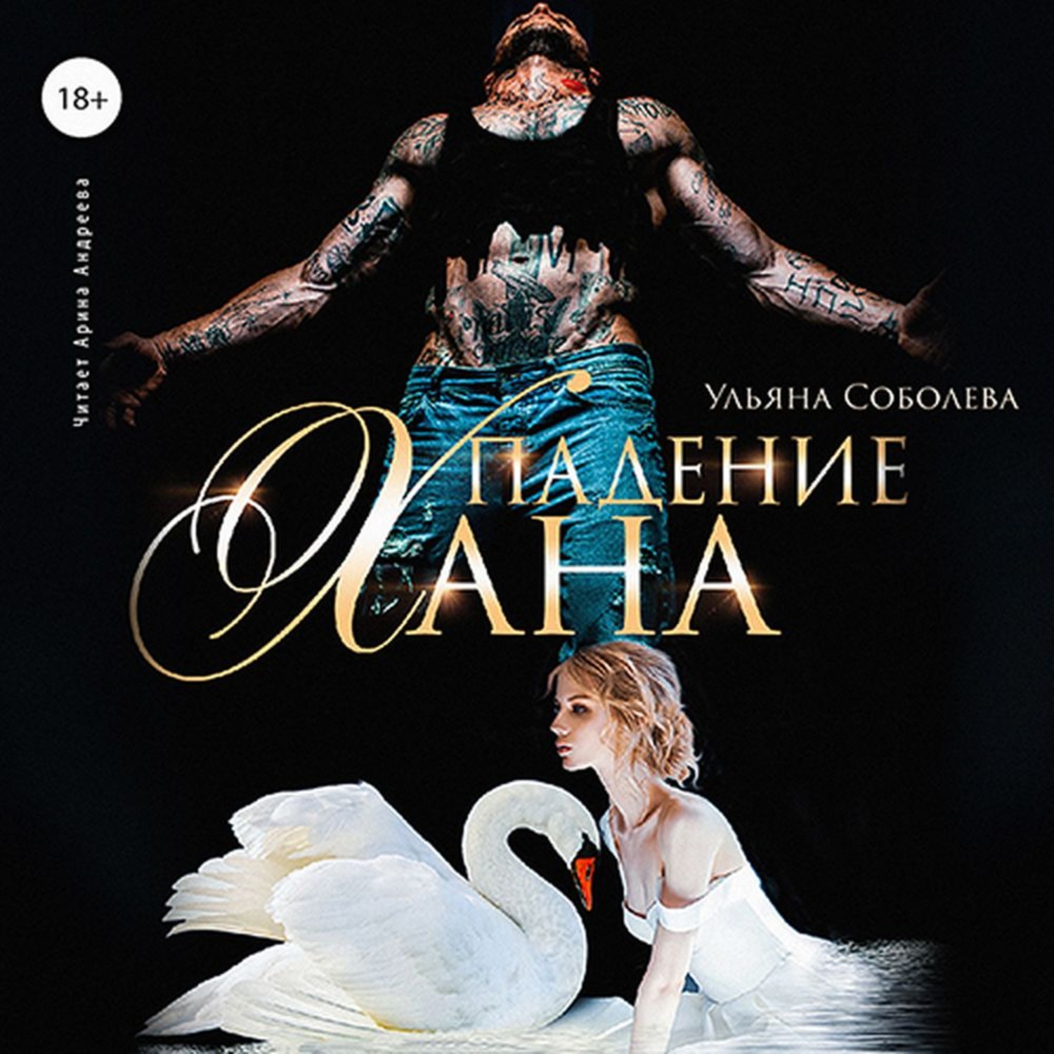 Обложка книги «Падение Хана»