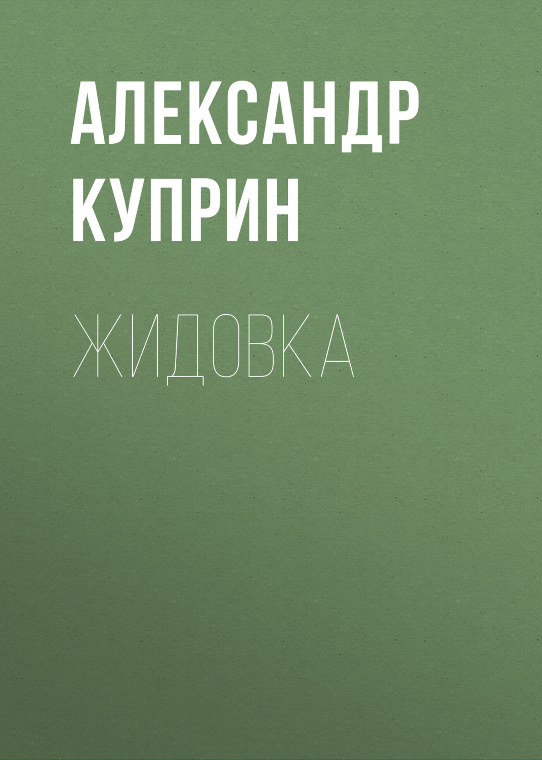 Обложка книги «Жидовка»