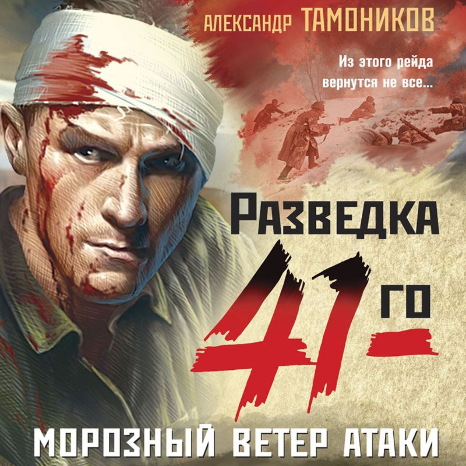 Обложка книги «Морозный ветер атаки»