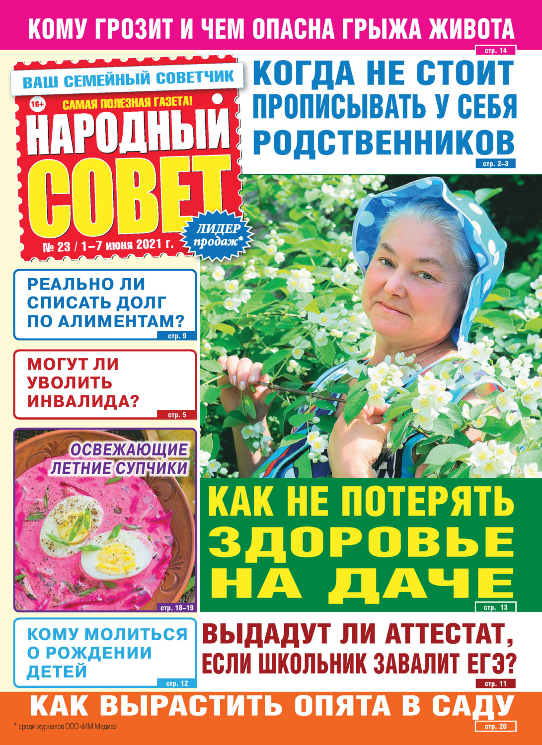 Обложка книги «Народный совет №23/2021»