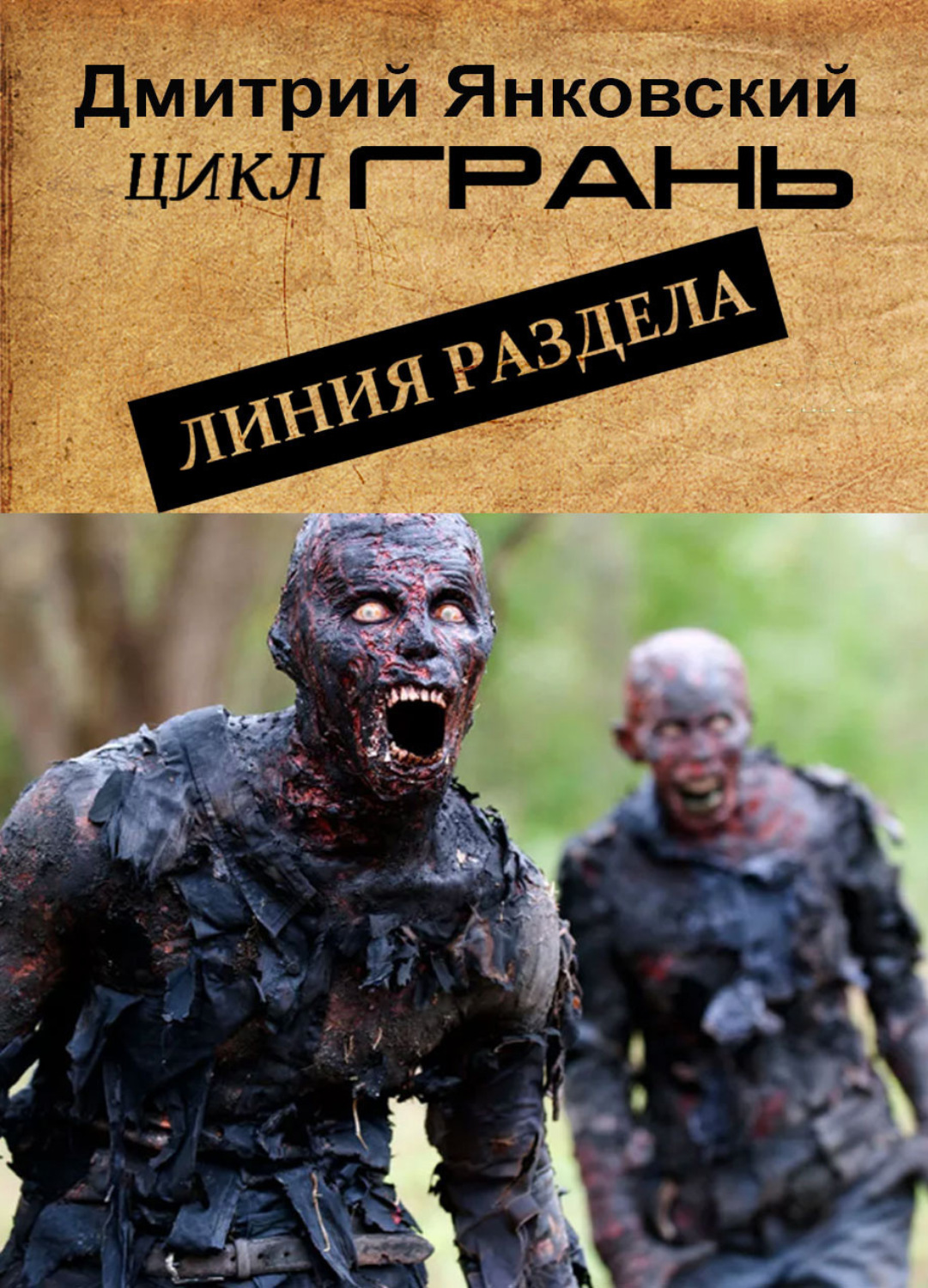 Обложка книги «Линия раздела»