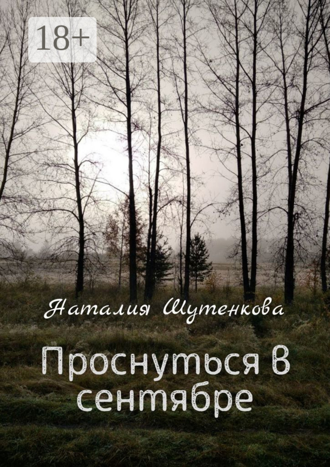 Обложка книги «Проснуться в сентябре»