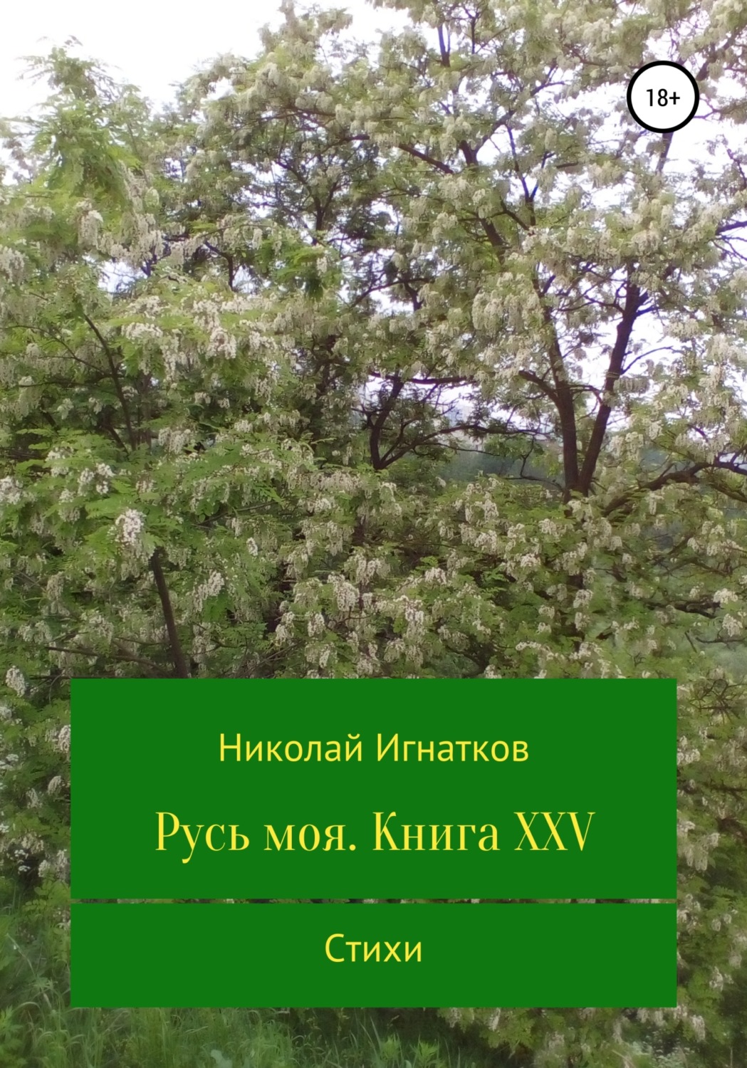 Обложка книги «Русь моя. Книга XXV»
