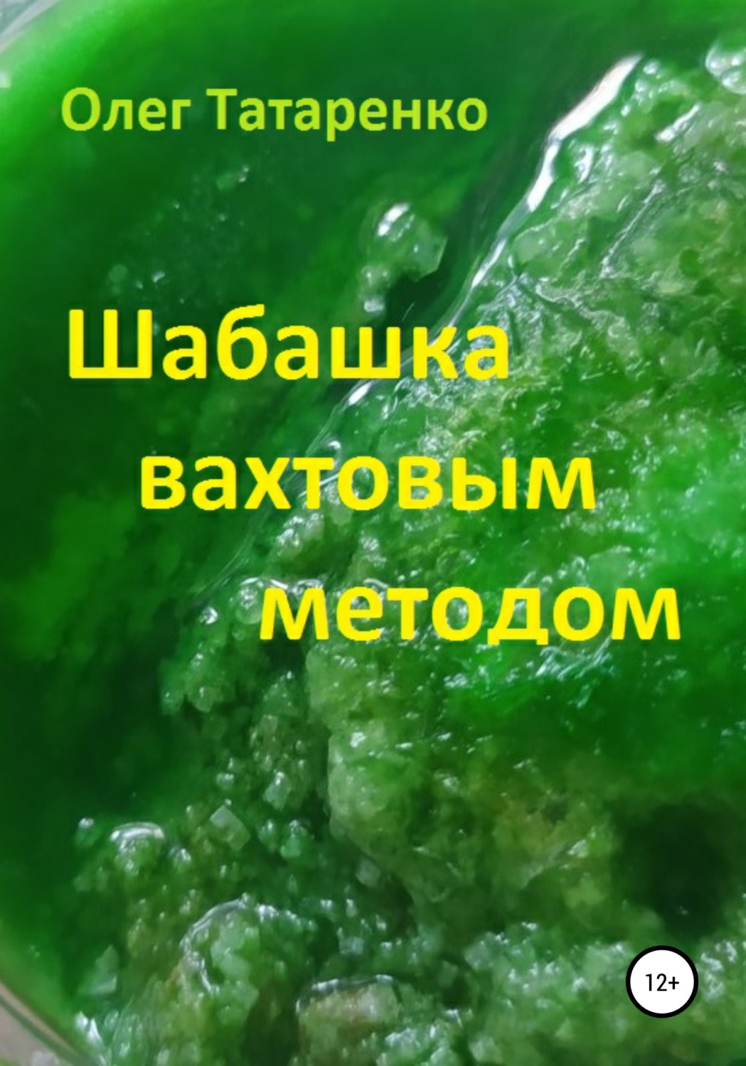 Обложка книги «Шабашка вахтовым методом»