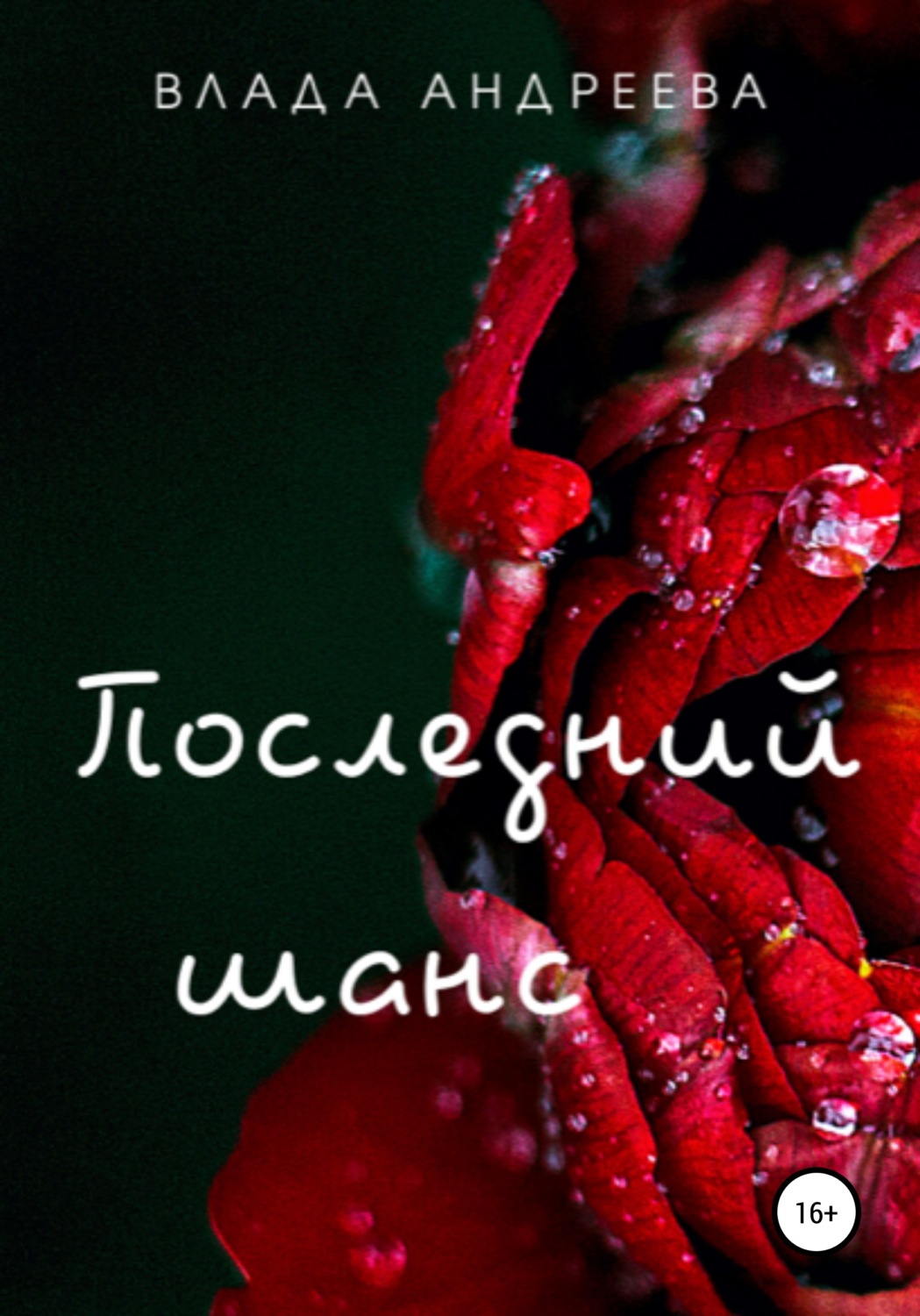 Обложка книги «Последний шанс»