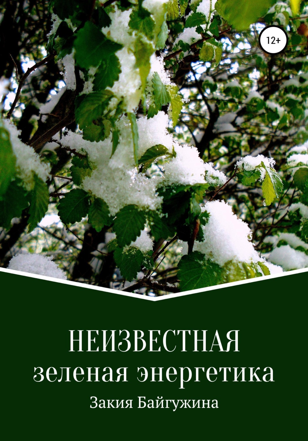 Обложка книги «Неизвестная зеленая энергетика»