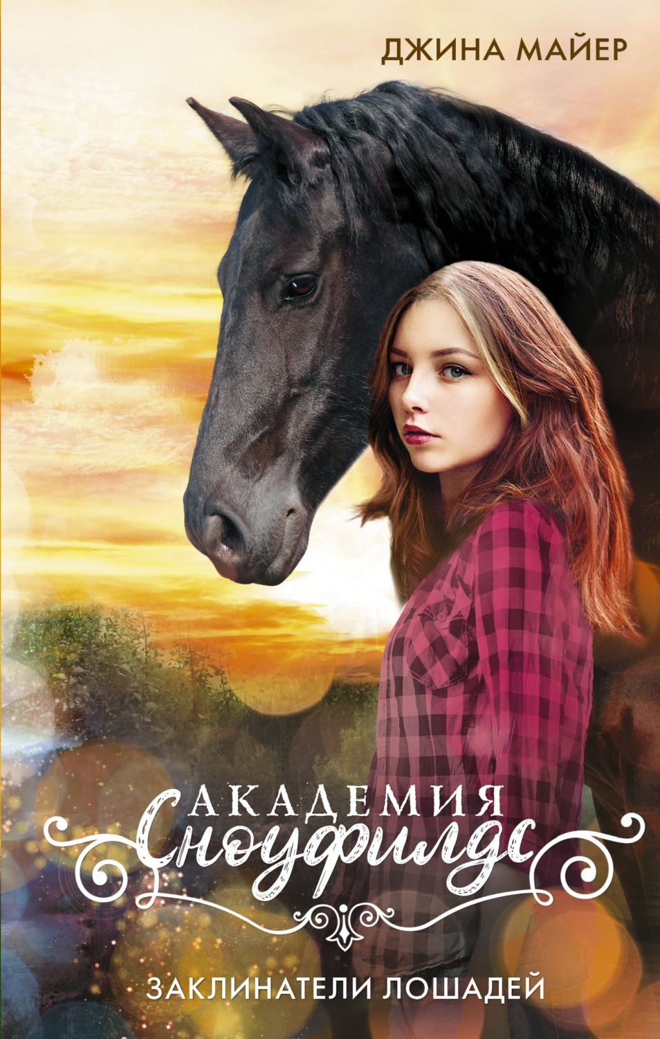 Обложка книги «Заклинатели лошадей»