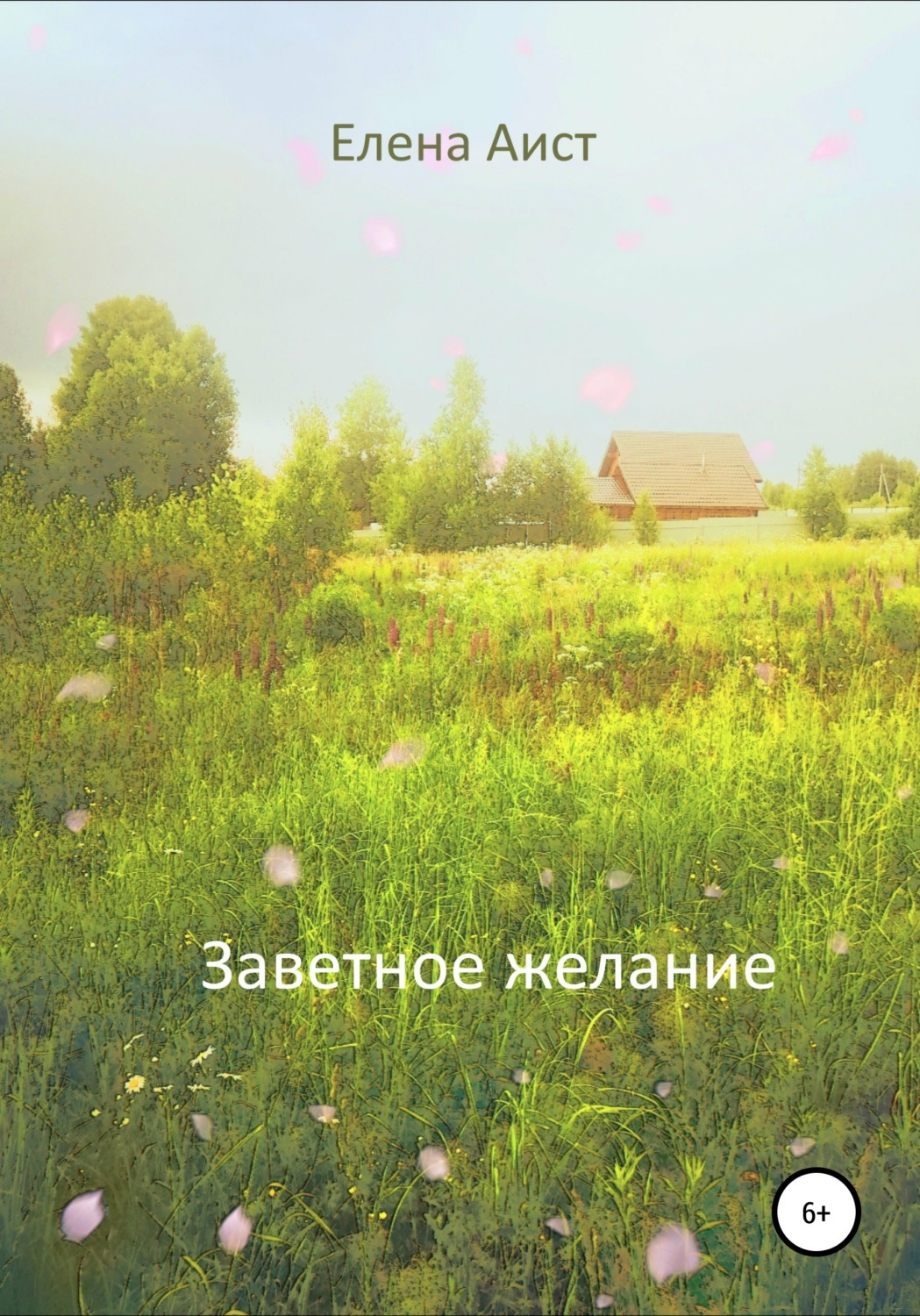 Обложка книги «Заветное желание»