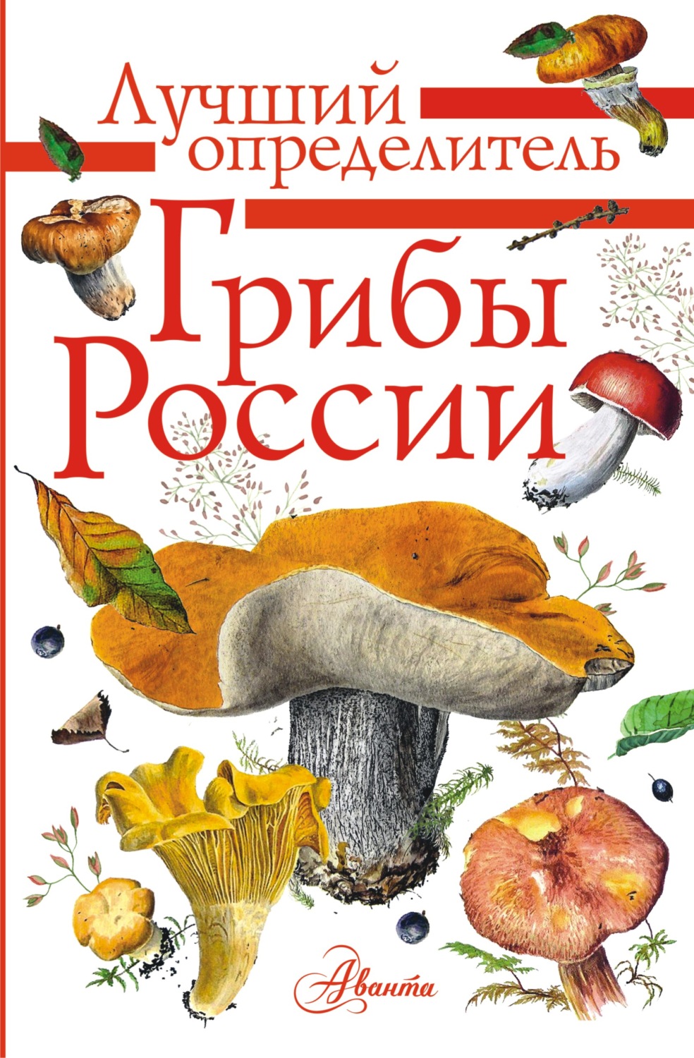 Обложка книги «Грибы России. Определитель»