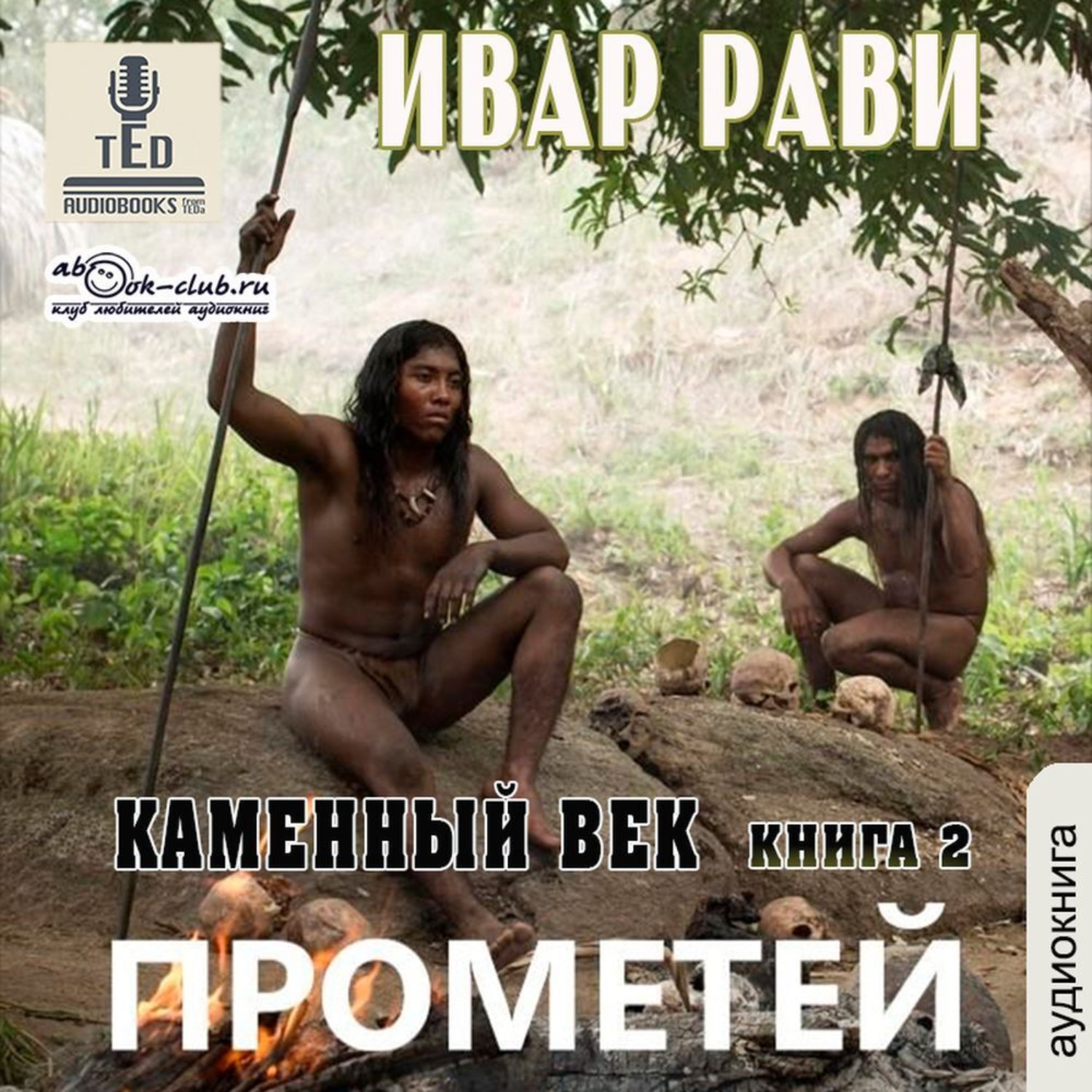 Обложка книги «Каменный век-2»