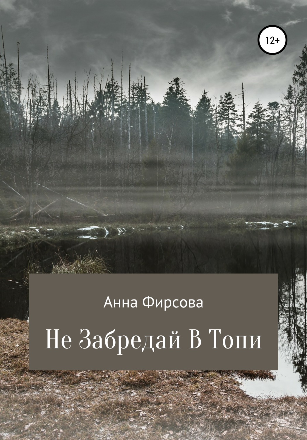 Обложка книги «Не забредай в Топи»