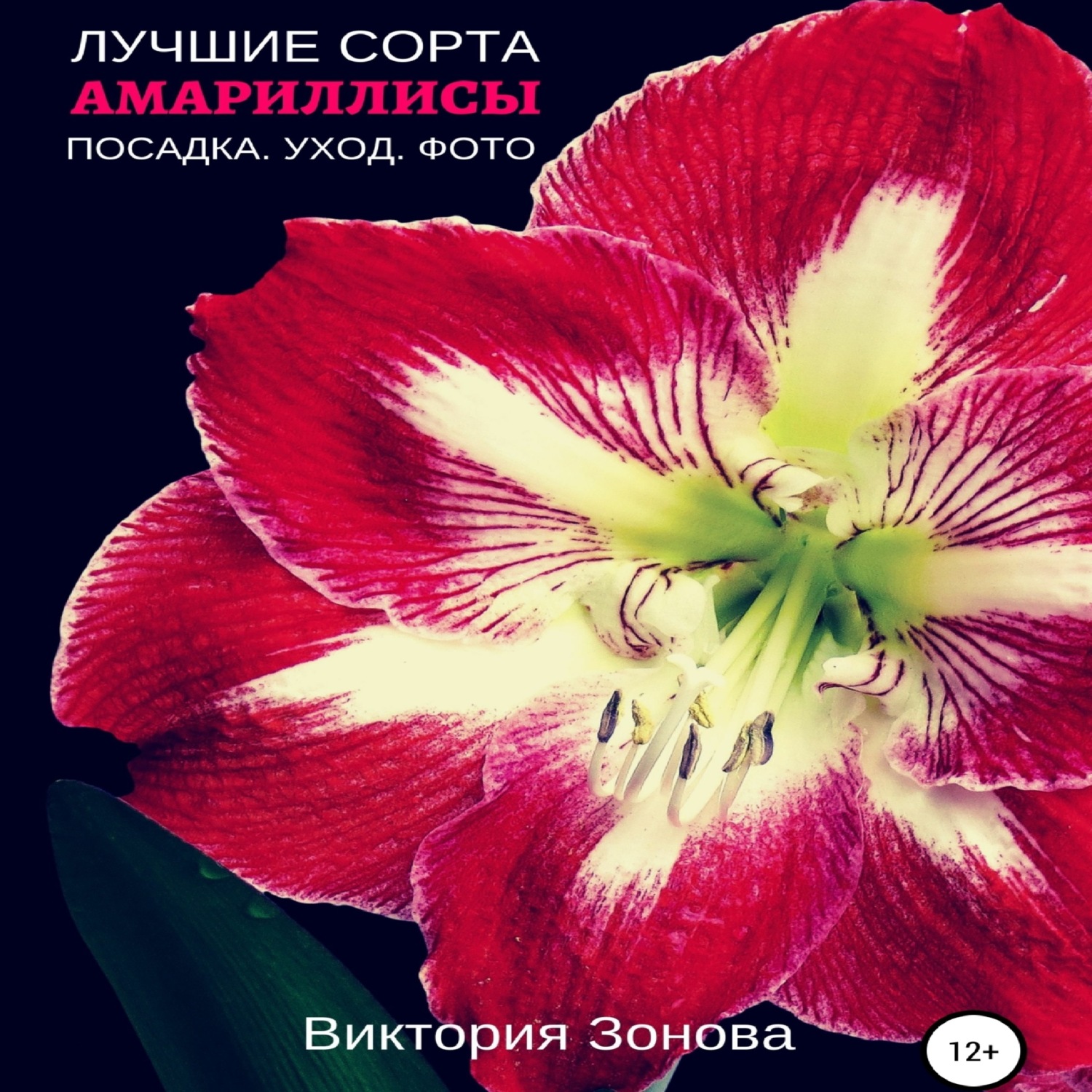 Обложка книги «Амариллисы. Лучшие сорта»