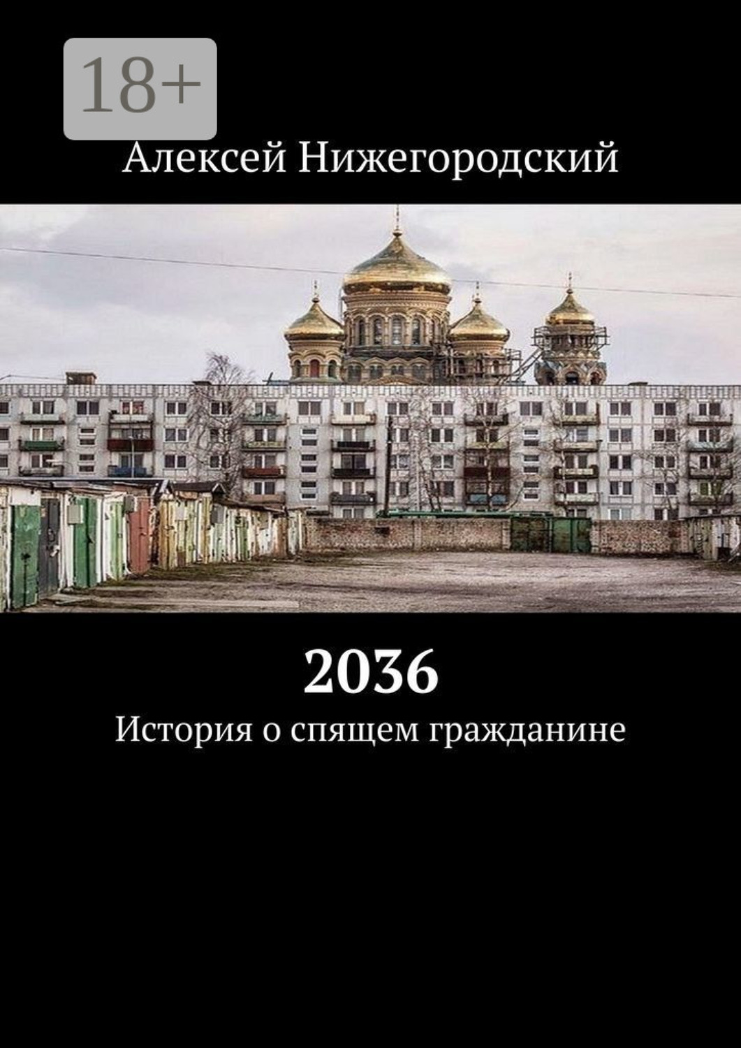 Обложка книги «2036. История о спящем гражданине»