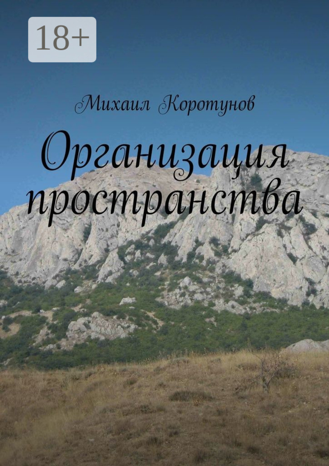 Обложка книги «Организация пространства»