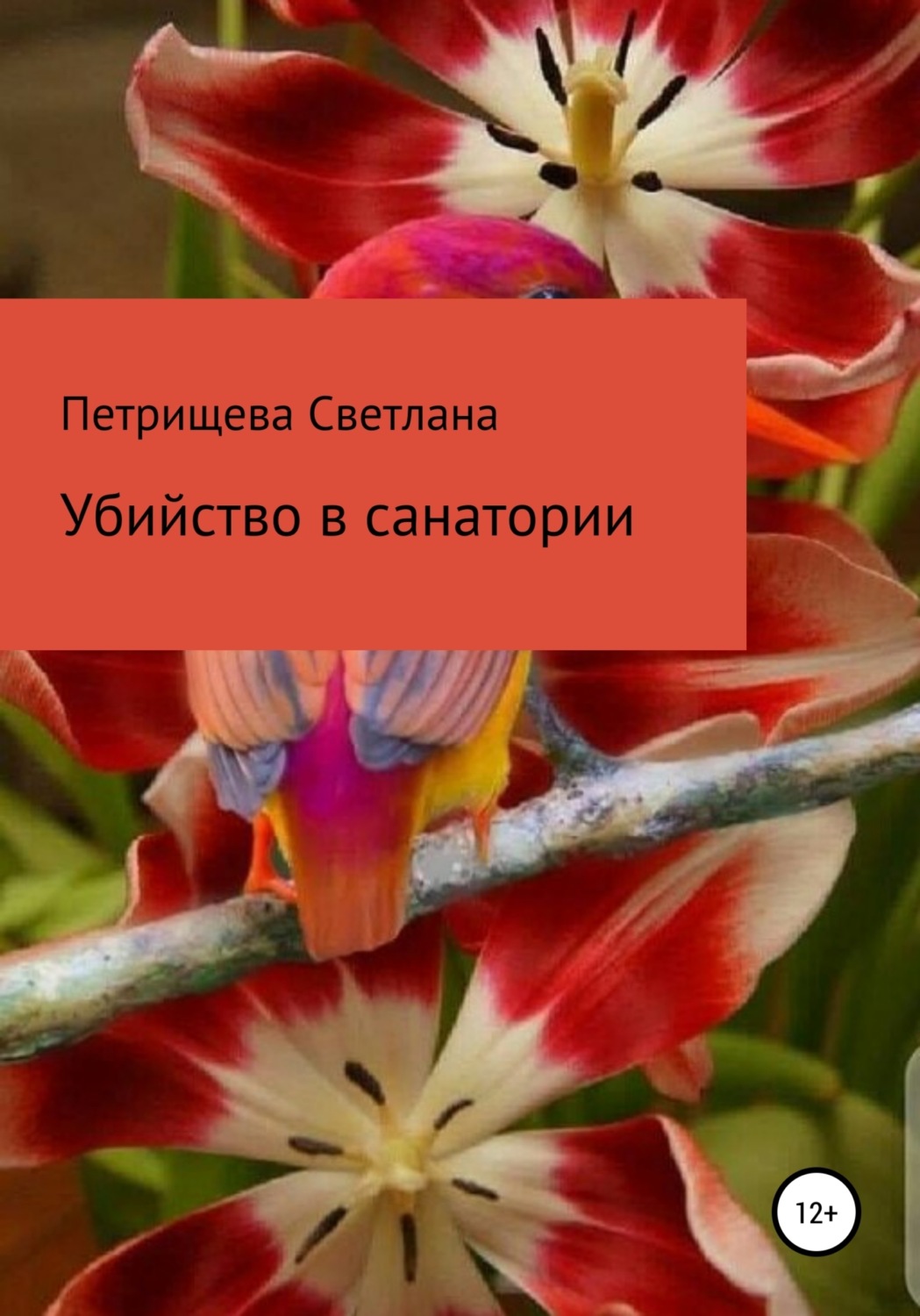 Обложка книги «Убийство в санатории»