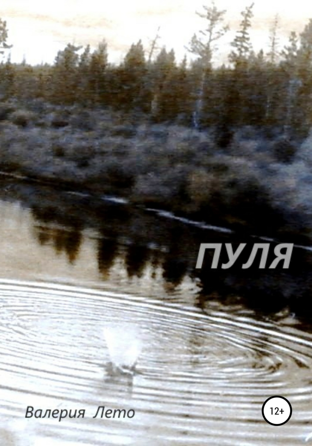 Обложка книги «Пуля»