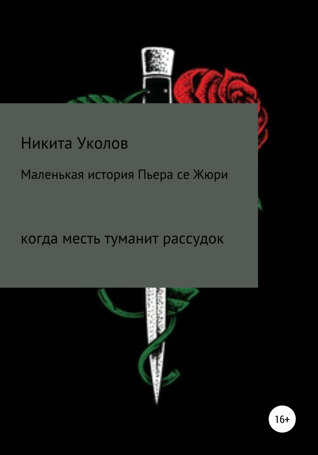 Обложка книги «Маленькая история Пьера се Жюри»