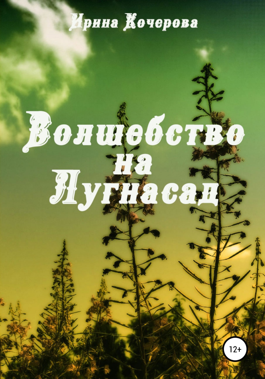 Обложка книги «Волшебство на Лугнасад»