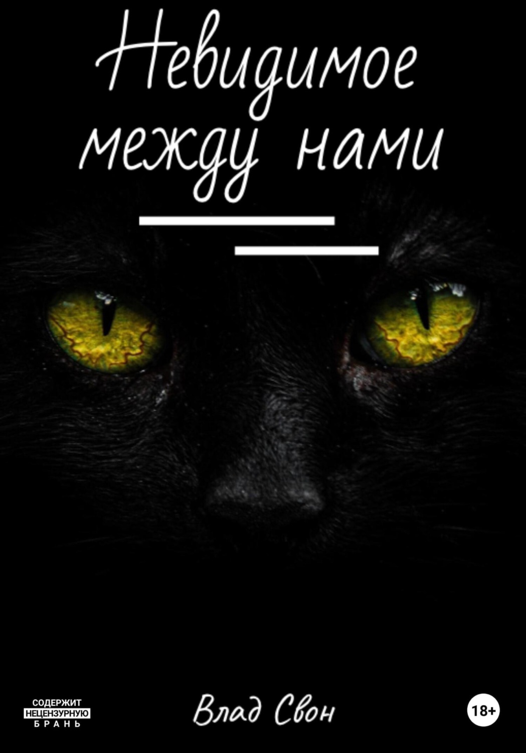 Обложка книги «Невидимое между нами»