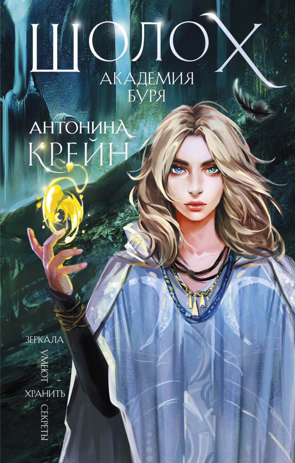Обложка книги «Шолох. Академия Буря»