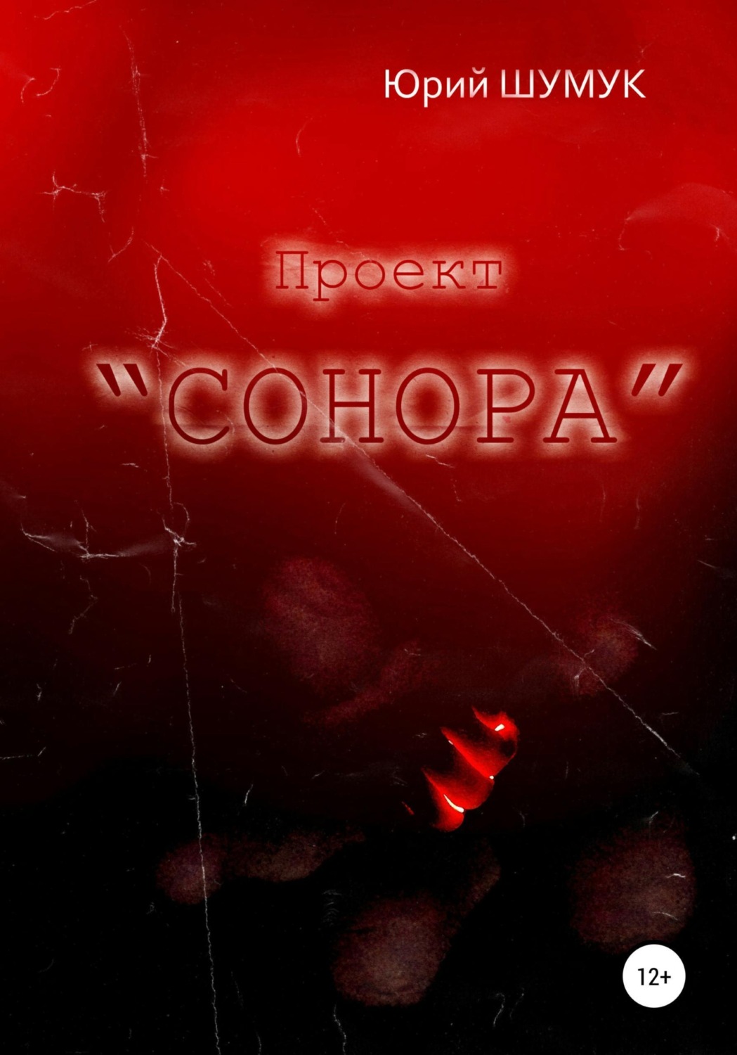 Обложка книги «Проект "Сонора"»
