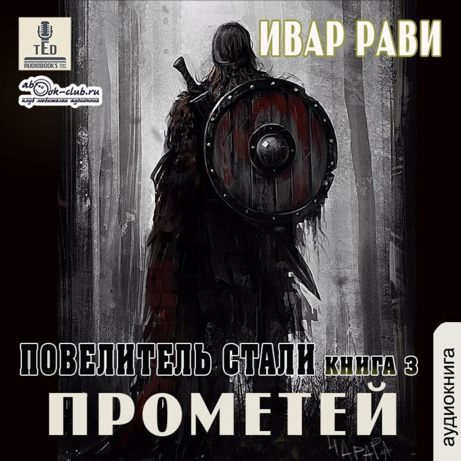 Обложка книги «Повелитель стали»