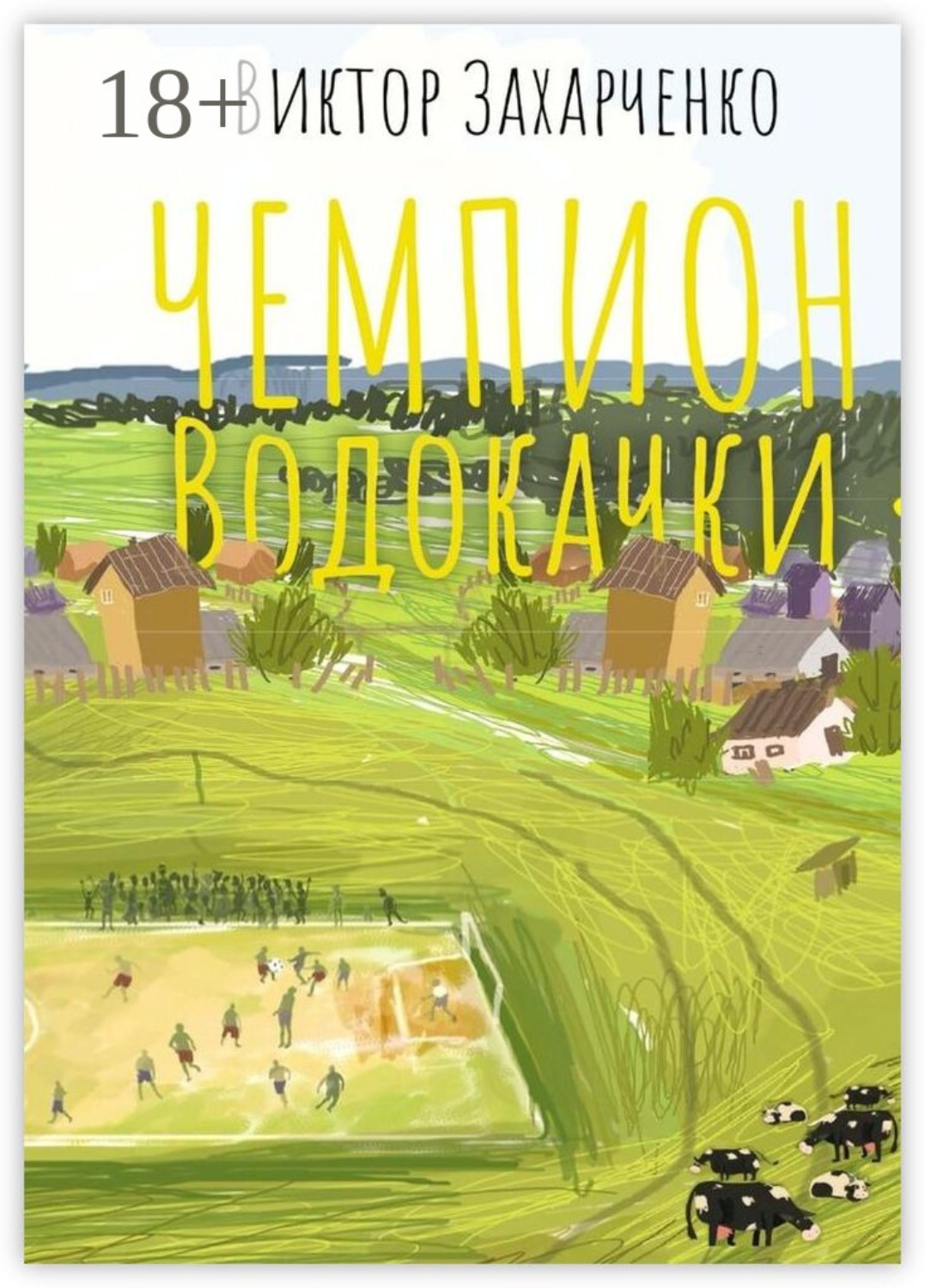 Обложка книги «Чемпион Водокачки. Истории о футболе в провинции»