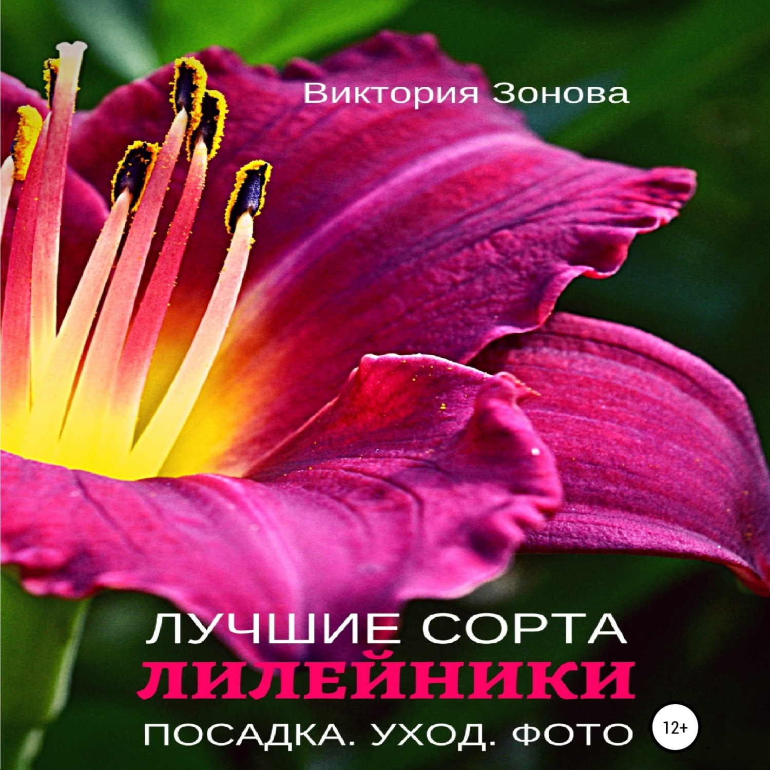Обложка книги «Лилейники. Лучшие сорта»