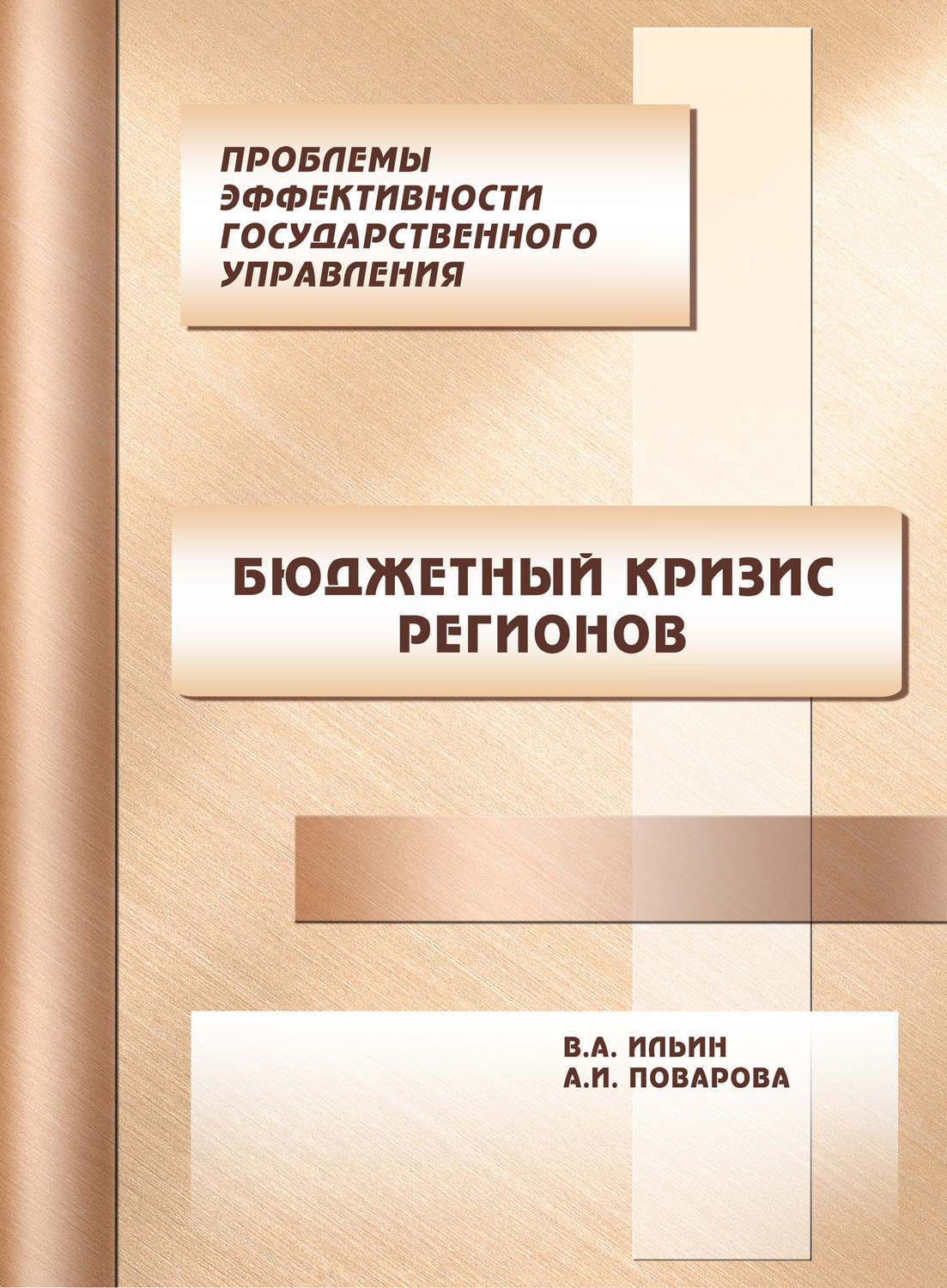 Обложка книги «Проблемы эффективности государственного управления. Бюджетный кризис регионов»