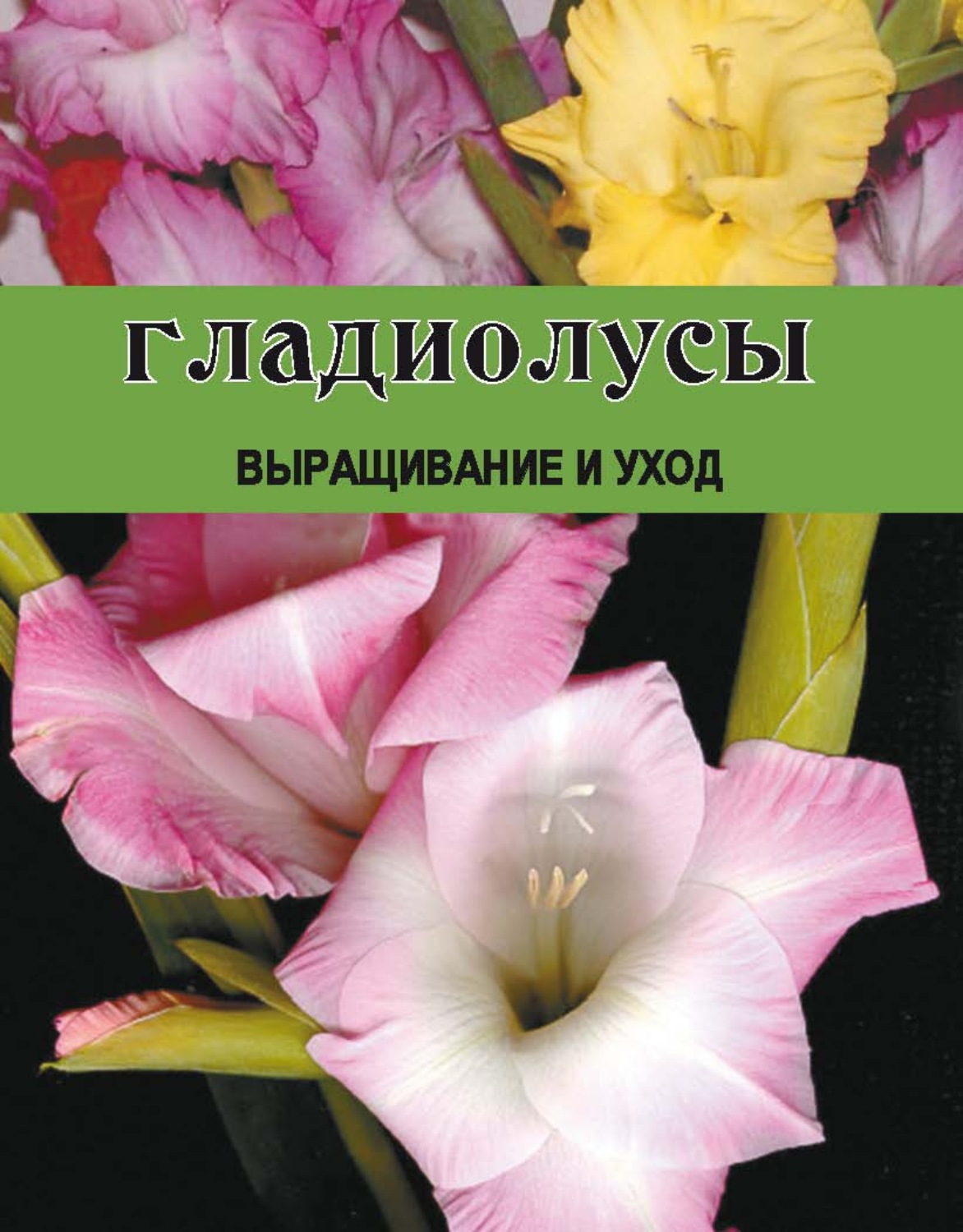 Обложка книги «Гладиолусы. Выращивание и уход»