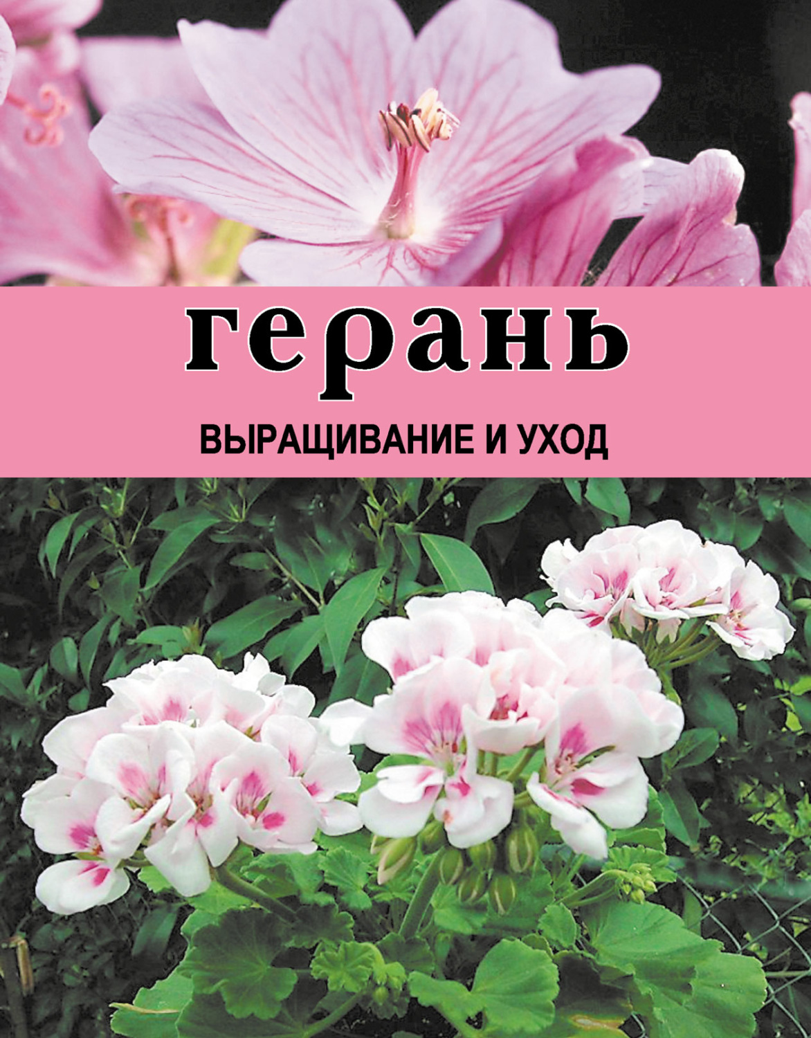Обложка книги «Герань. Выращивание и уход»