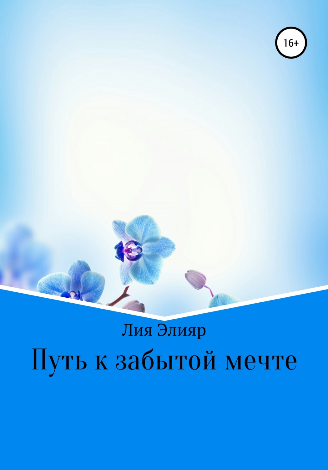 Обложка книги «Путь к забытой мечте»