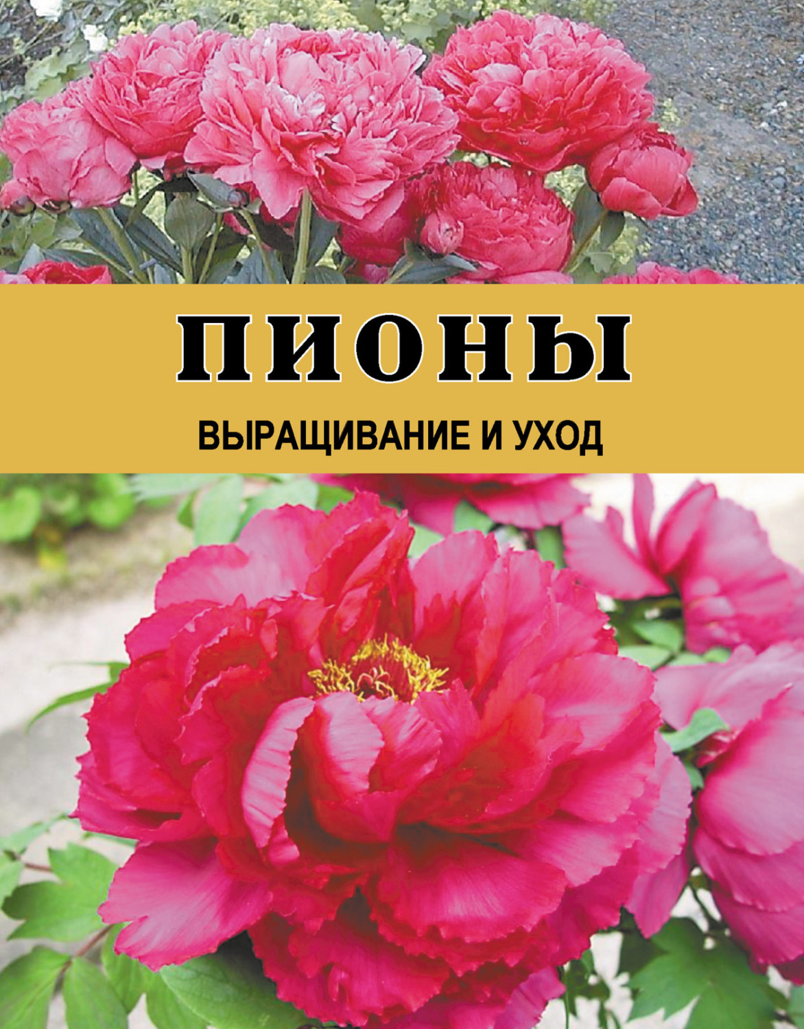Обложка книги «Пионы. Выращивание и уход»